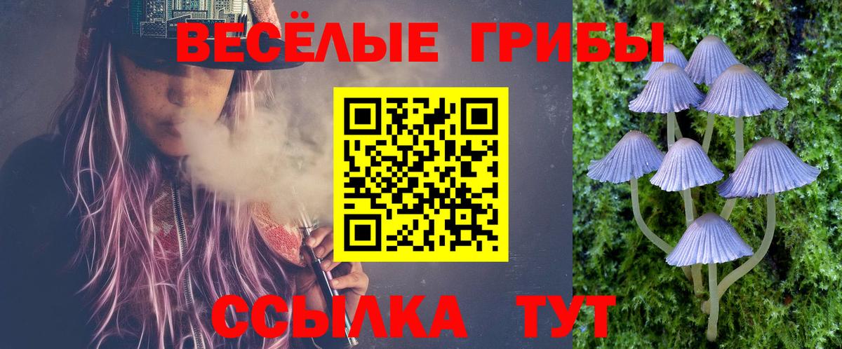 как найти закладки  Вход с VPN  Клинцы  Галлюциногенные грибы мухоморы 