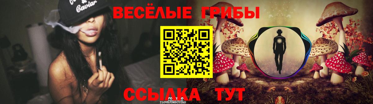 Галлюциногенные грибы Cubensis Клинцы